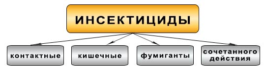 Типы инсектицидных препаратов