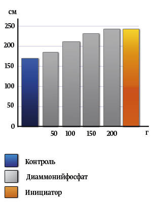 Диаграмма эффективности применения препарата Инициатор на рост саженцев в сравнении с применений различных норм внесения диаммонийфосфата