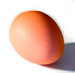 Снижение яйценоскости из-за поражений птиц клопами