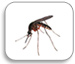 Уничтожение комаров, москитов, гнуса, мошки